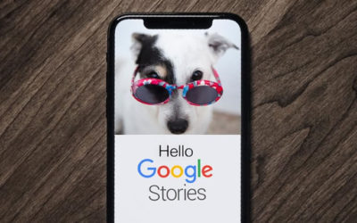 Páginas amp y Google web stories