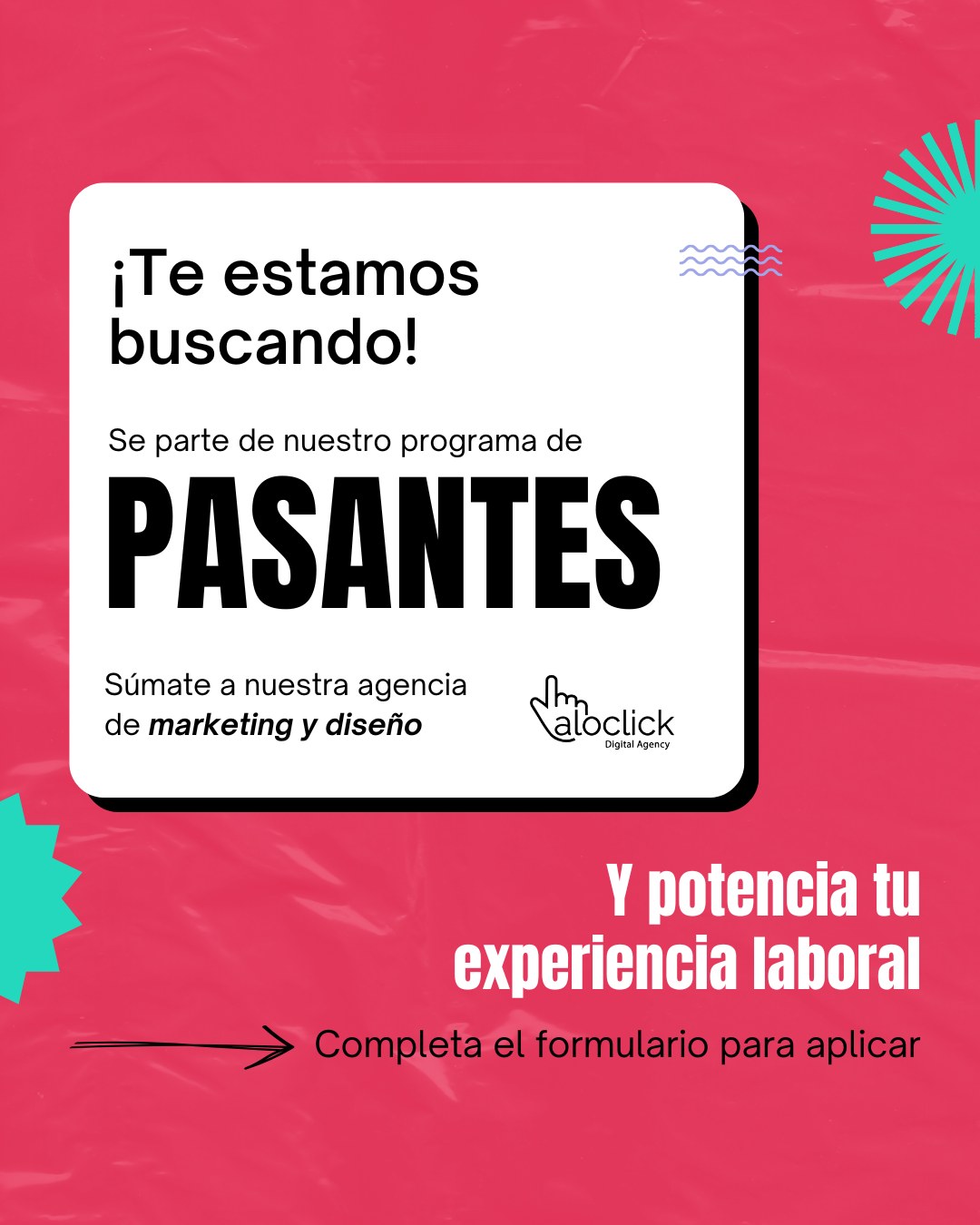 Programa de pasantes