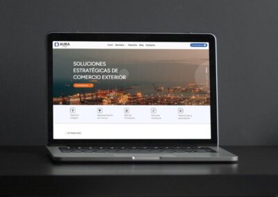 Sitio Web para Aura Comex